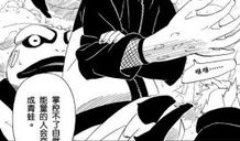 动漫忍者,隐秘世界的守护者