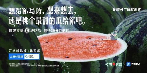 娱乐吃瓜文案图片大全,吃瓜群众必备的图文盛宴